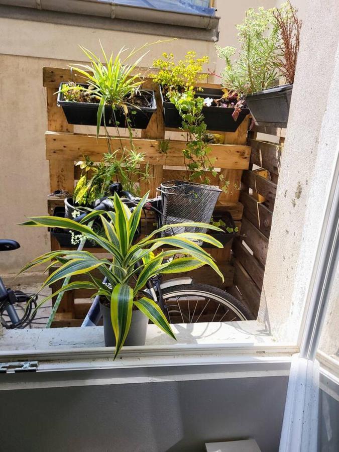 Cosy Appartement Hyper Centre-Ville Кимпер Екстериор снимка